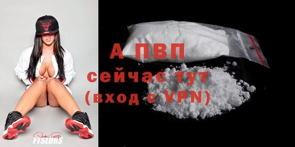 мяу мяу мука Белокуриха