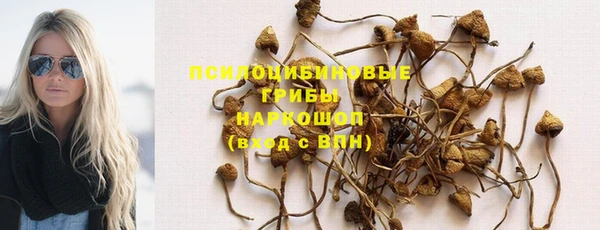 прущая мука Беломорск