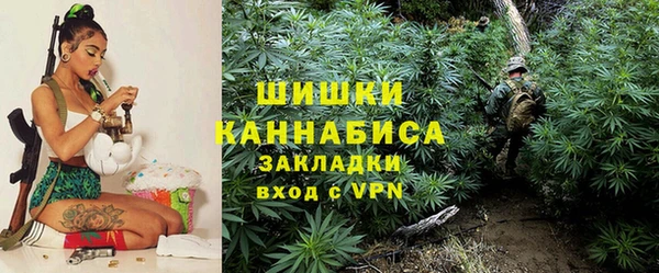 мяу мяу мука Белокуриха