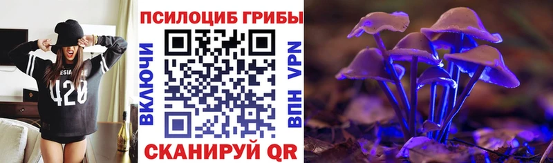 Галлюциногенные грибы Cubensis  кракен ссылки  Староминская 